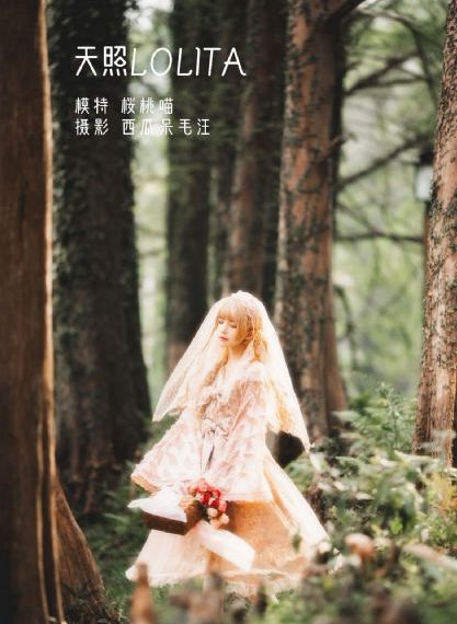 给我看一下你的森林小说_4K高清完整版播放